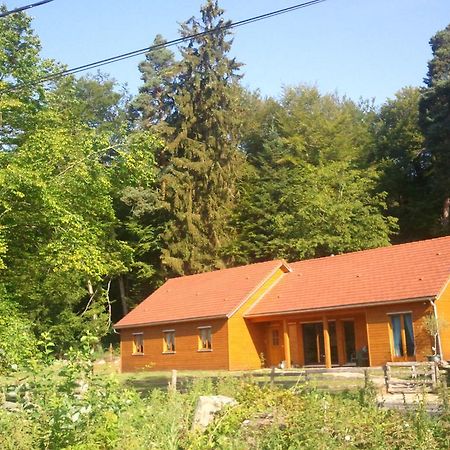 Vosges Chambres D'Hotes Jeanmenil Esterno foto