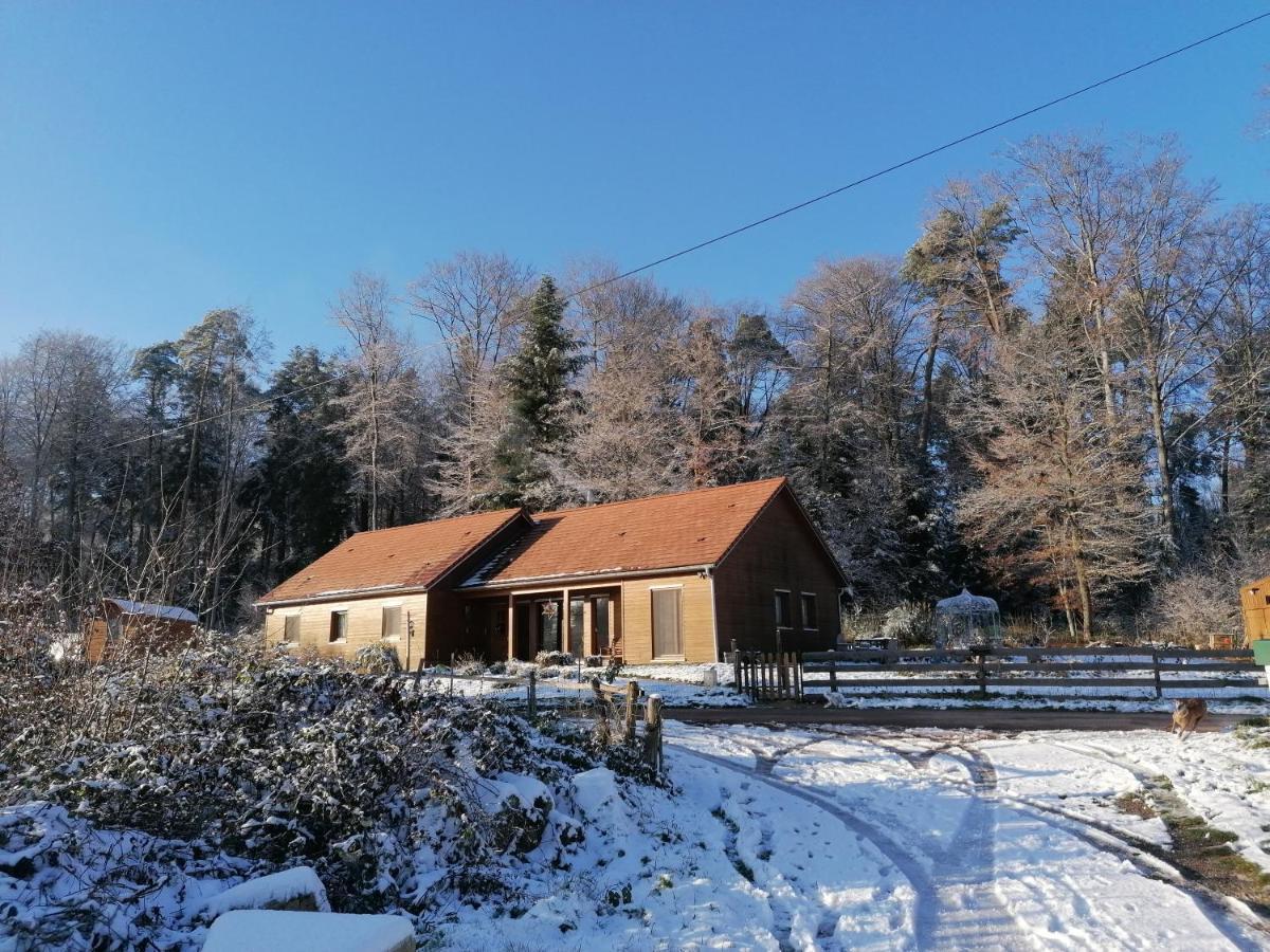 Vosges Chambres D'Hotes Jeanmenil Esterno foto