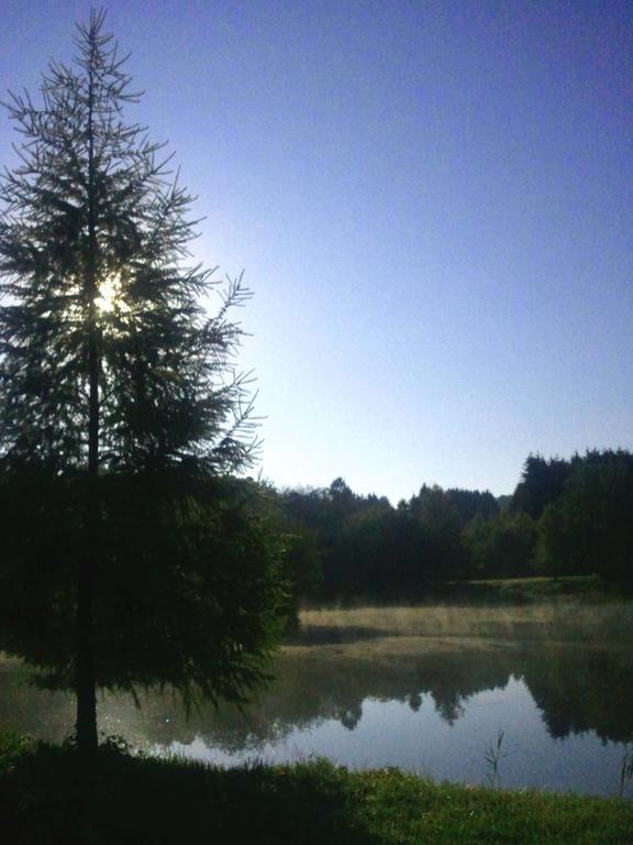 Vosges Chambres D'Hotes Jeanmenil Esterno foto